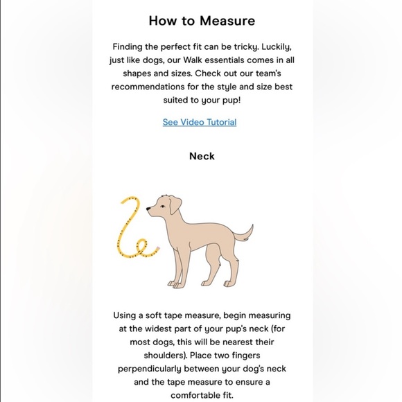 Wild One Dog Harness 3.0 - Large - Spruce - Picture 13 of 14